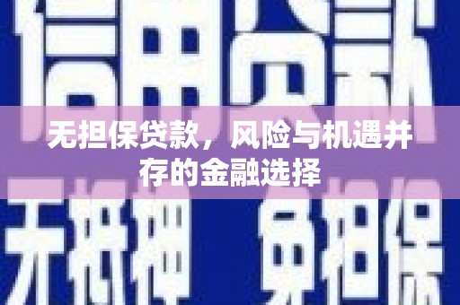 成武无担保贷款，风险与机遇并存的金融选择