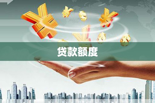 成武贷款额度