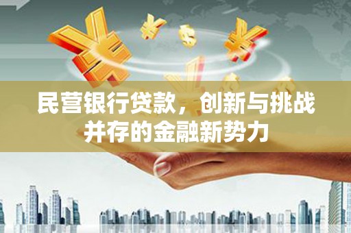 成武民营银行贷款，创新与挑战并存的金融新势力