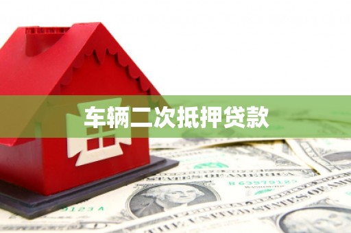 成武车辆二次抵押贷款