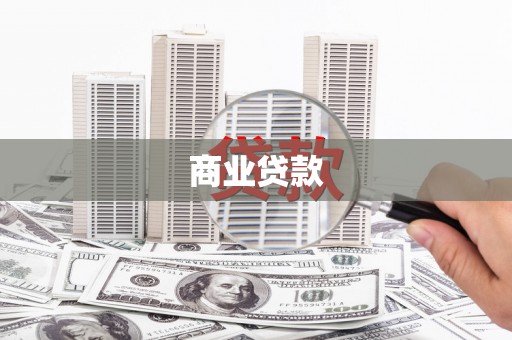 成武商业贷款