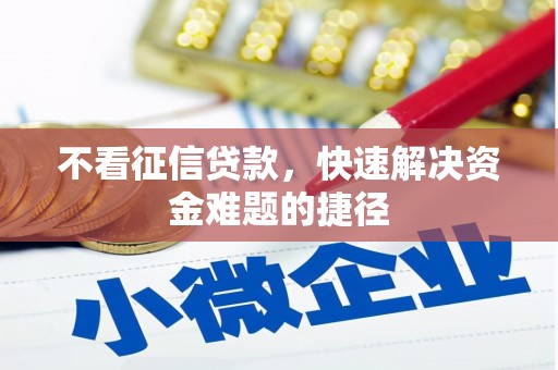 成武不看征信贷款，快速解决资金难题的捷径