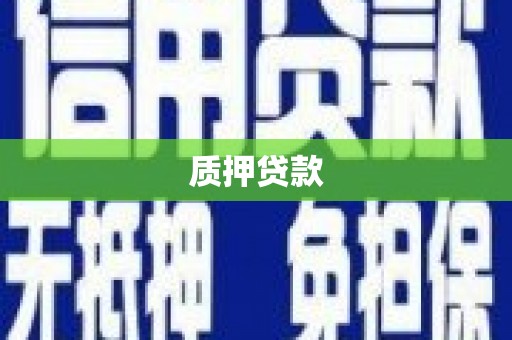成武质押贷款
