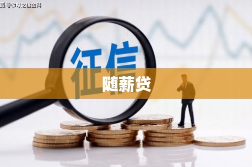 成武随薪贷
