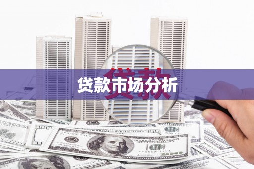 成武贷款市场分析