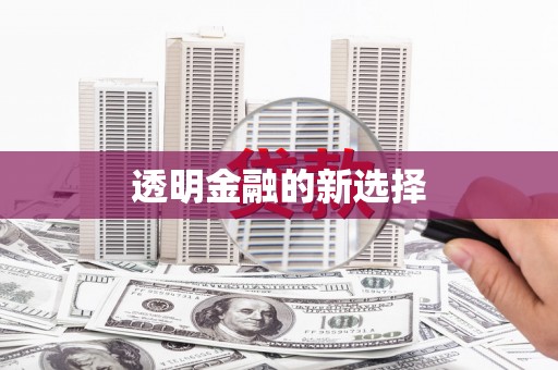 成武透明金融的新选择