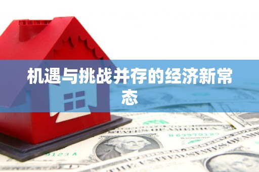 成武机遇与挑战并存的经济新常态