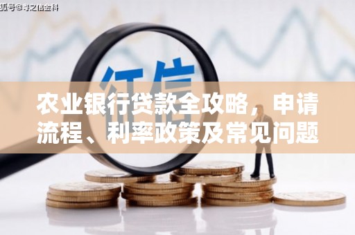 成武农业银行贷款全攻略，申请流程、利率政策及常见问题解析