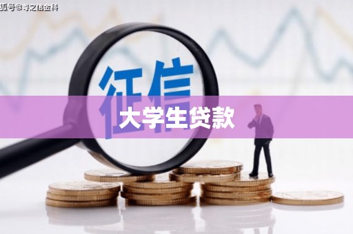 成武大学生贷款