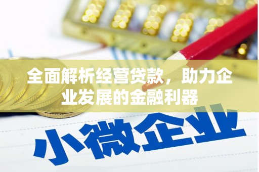 成武全面解析经营贷款，助力企业发展的金融利器