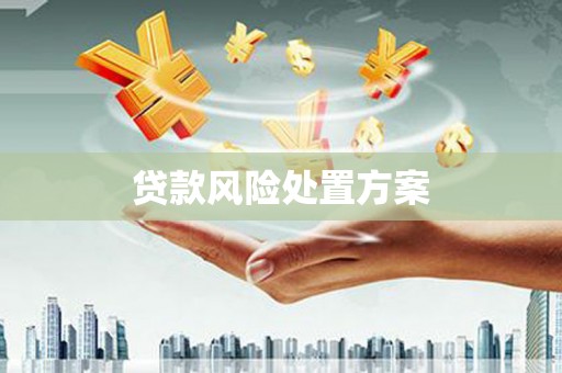 成武贷款风险处置方案