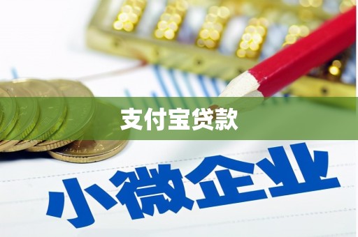 成武支付宝贷款