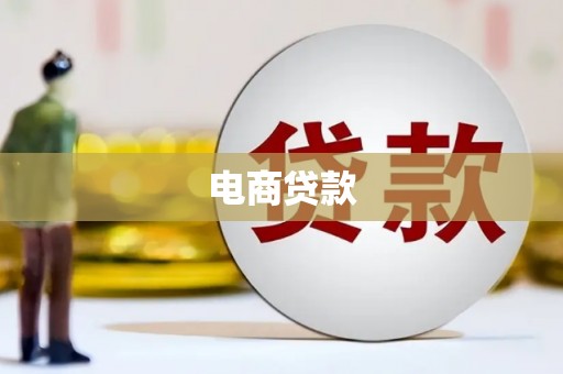 成武电商贷款