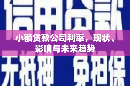 成武小额贷款公司利率，现状、影响与未来趋势