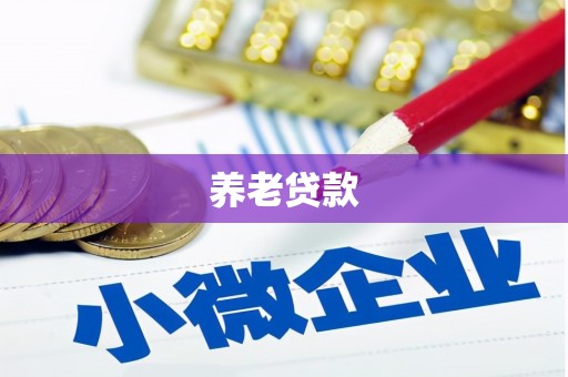 成武养老贷款