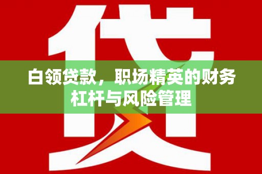成武白领贷款，职场精英的财务杠杆与风险管理