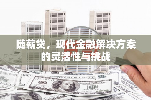 成武随薪贷，现代金融解决方案的灵活性与挑战