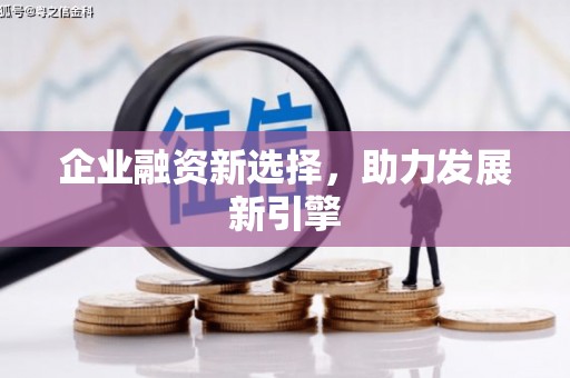 成武企业融资新选择，助力发展新引擎