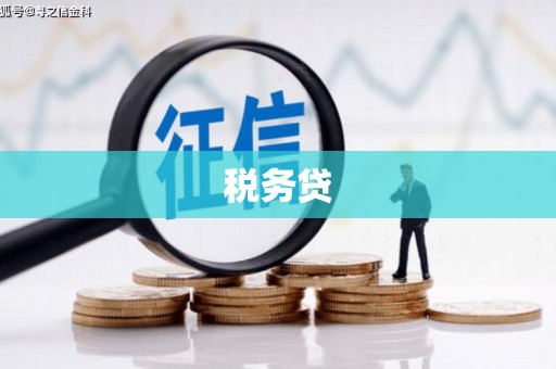成武税务贷