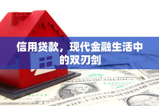 成武信用贷款，现代金融生活中的双刃剑