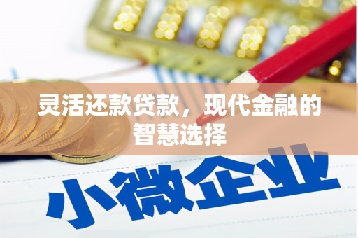 成武灵活还款贷款，现代金融的智慧选择