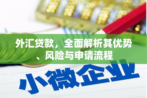 成武外汇贷款，全面解析其优势、风险与申请流程