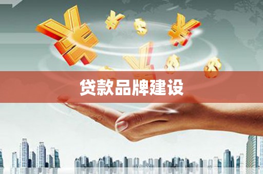 成武贷款品牌建设