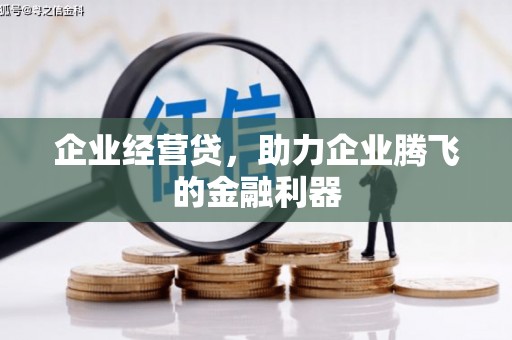 成武企业经营贷，助力企业腾飞的金融利器