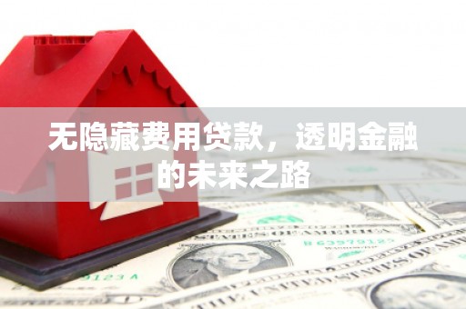 成武无隐藏费用贷款，透明金融的未来之路