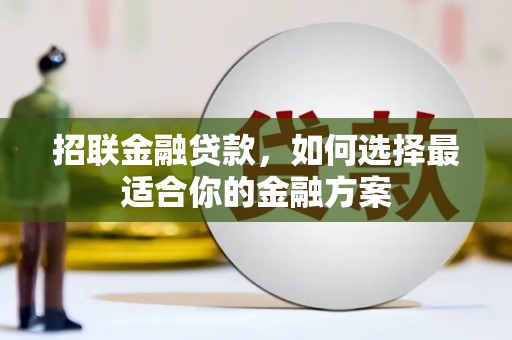 成武招联金融贷款，如何选择最适合你的金融方案