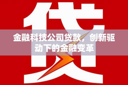 成武金融科技公司贷款，创新驱动下的金融变革