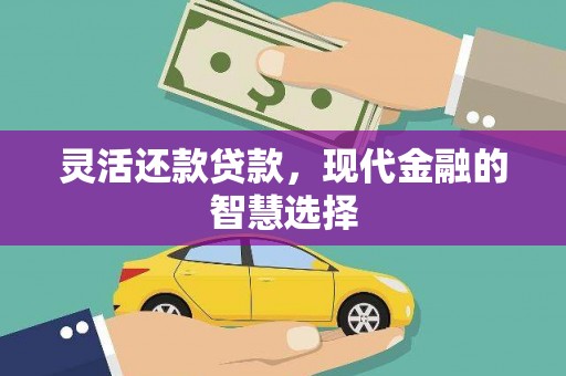 成武灵活还款贷款，现代金融的智慧选择
