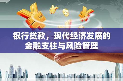 成武银行贷款，现代经济发展的金融支柱与风险管理