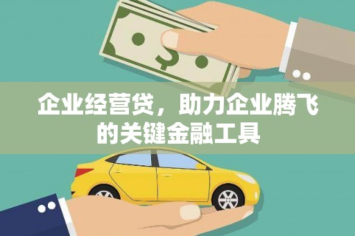 成武企业经营贷，助力企业腾飞的关键金融工具