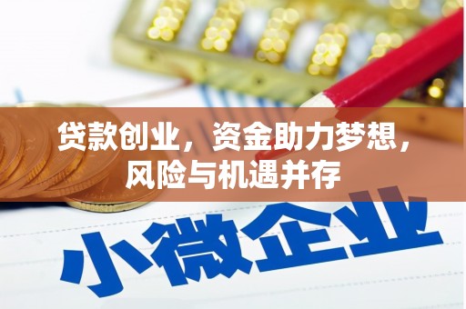 成武贷款创业，资金助力梦想，风险与机遇并存