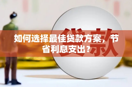成武如何选择最佳贷款方案，节省利息支出？