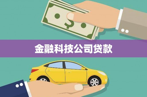 成武金融科技公司贷款