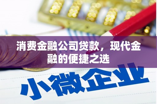 成武消费金融公司贷款，现代金融的便捷之选