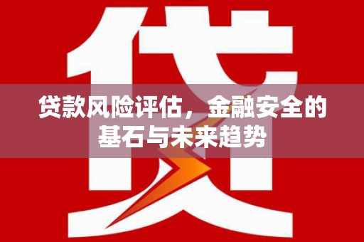 成武贷款风险评估，金融安全的基石与未来趋势