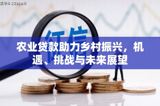 成武农业贷款助力乡村振兴，机遇、挑战与未来展望