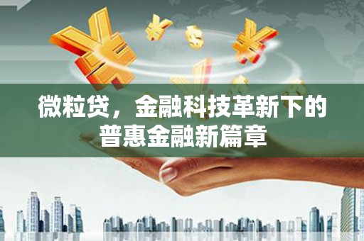 成武微粒贷，金融科技革新下的普惠金融新篇章