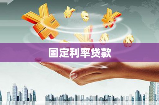 成武固定利率贷款