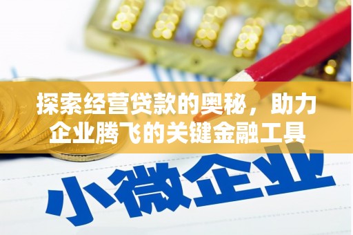 成武探索经营贷款的奥秘，助力企业腾飞的关键金融工具