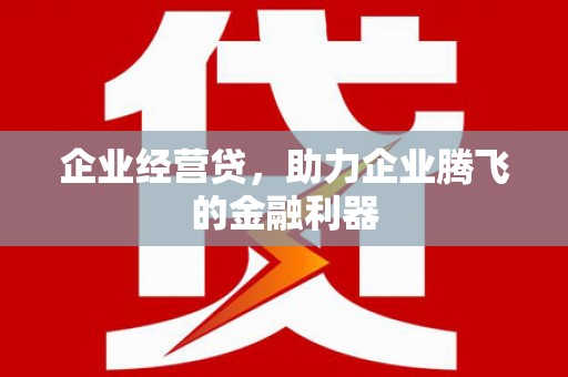 成武企业经营贷，助力企业腾飞的金融利器