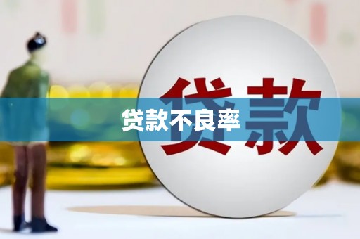 成武贷款不良率