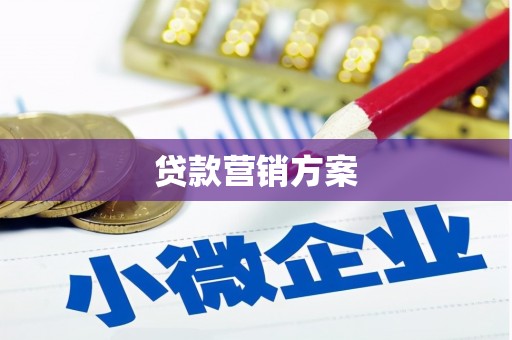 成武贷款营销方案