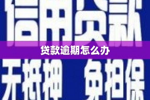 成武贷款逾期怎么办