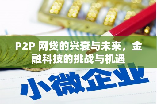 成武P2P 网贷的兴衰与未来，金融科技的挑战与机遇
