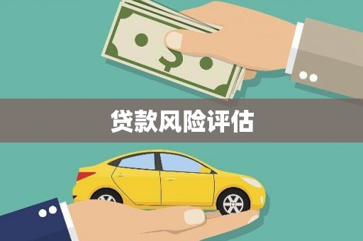 成武贷款风险评估