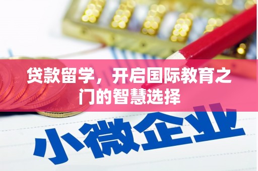 成武贷款留学，开启国际教育之门的智慧选择